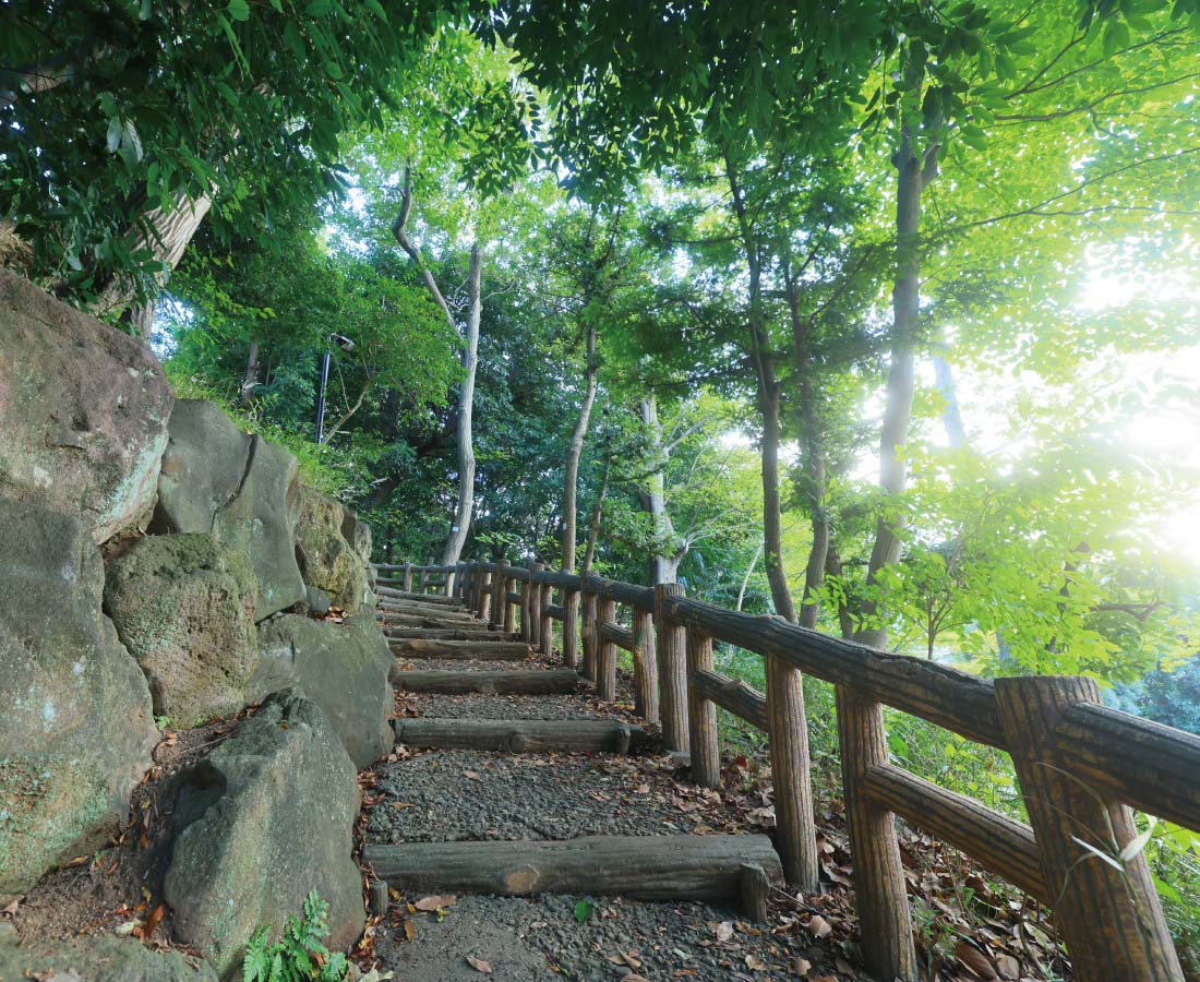 ［Ikegami］本門寺公園（徒歩7分／約540m）