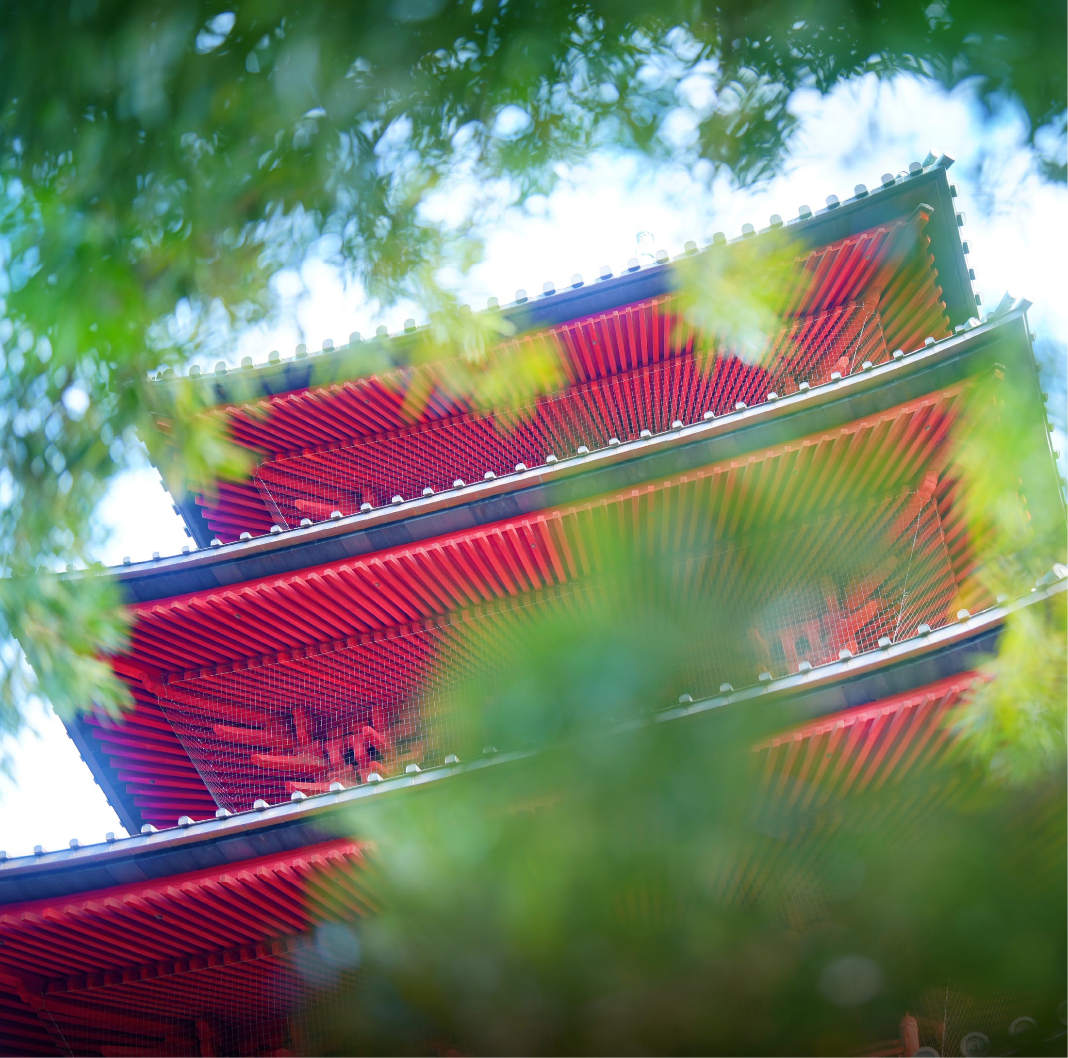 池上本門寺（徒歩12分／約920m）