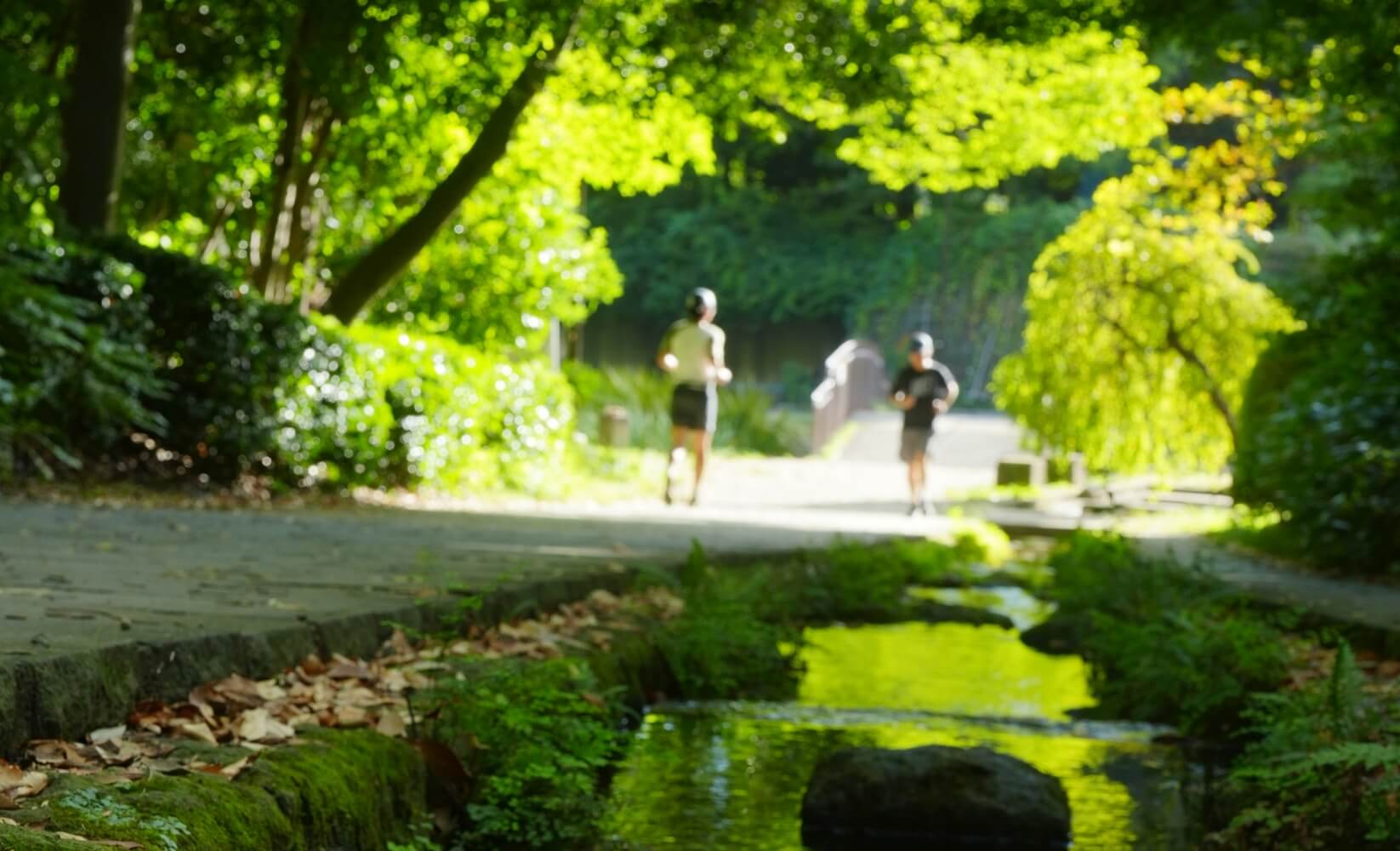 山崎公園（徒歩8分／約590m）