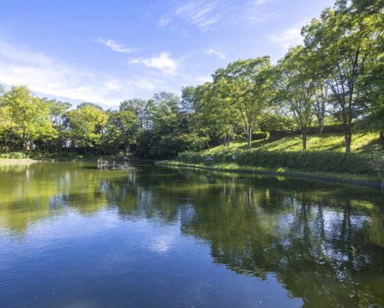 山崎の池