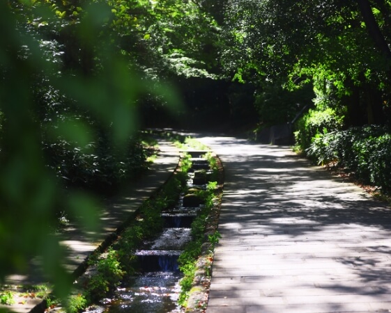 せせらぎが流れる散策路