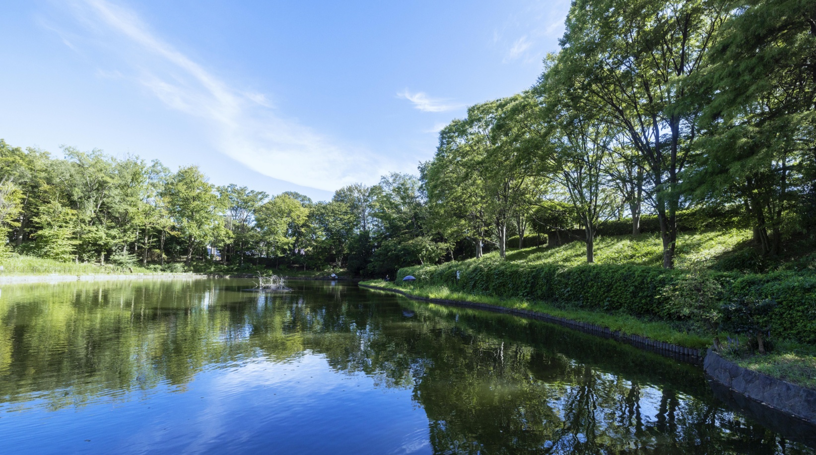 山崎公園（徒歩8分／約590m）