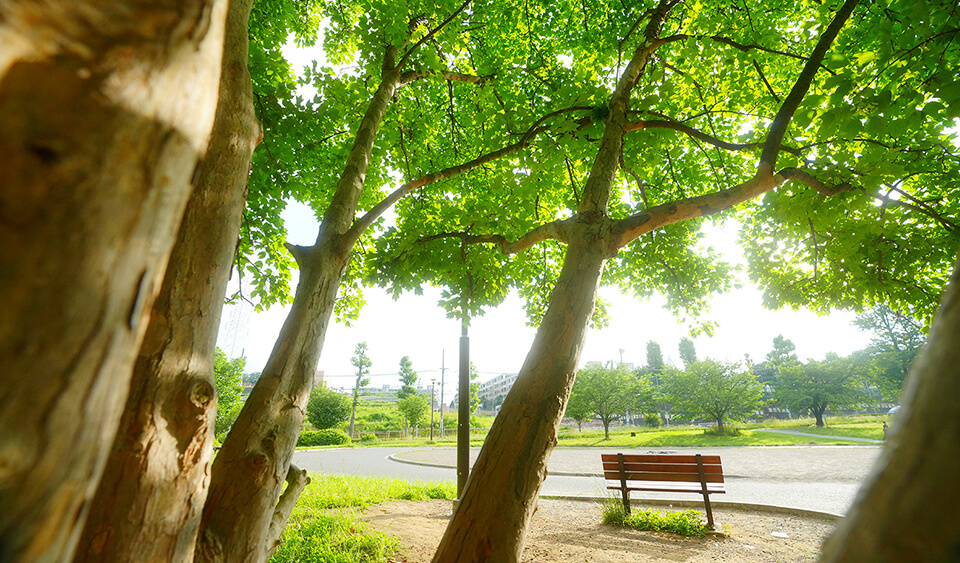 美しが丘公園（約710～740m／徒歩9～10分※1）