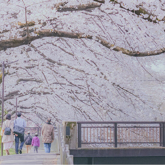 善福寺川緑地