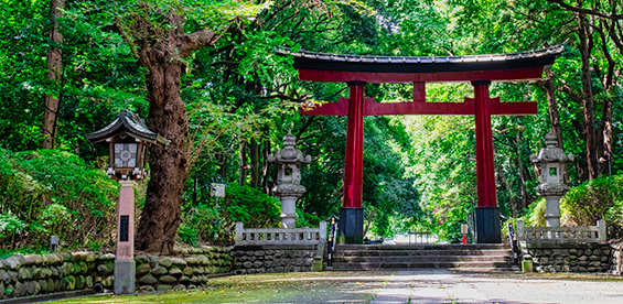 大宮八幡宮