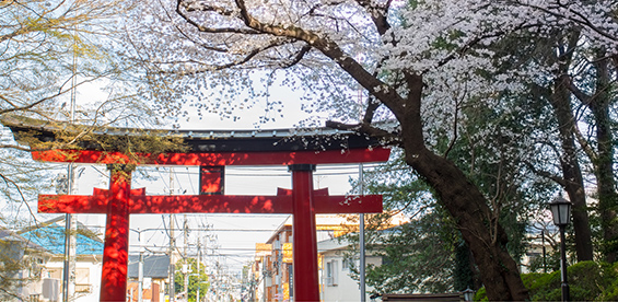 大宮八幡宮