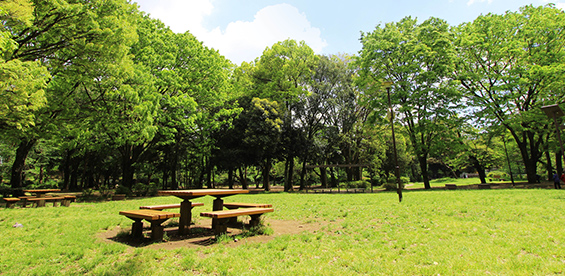 善福寺川緑地