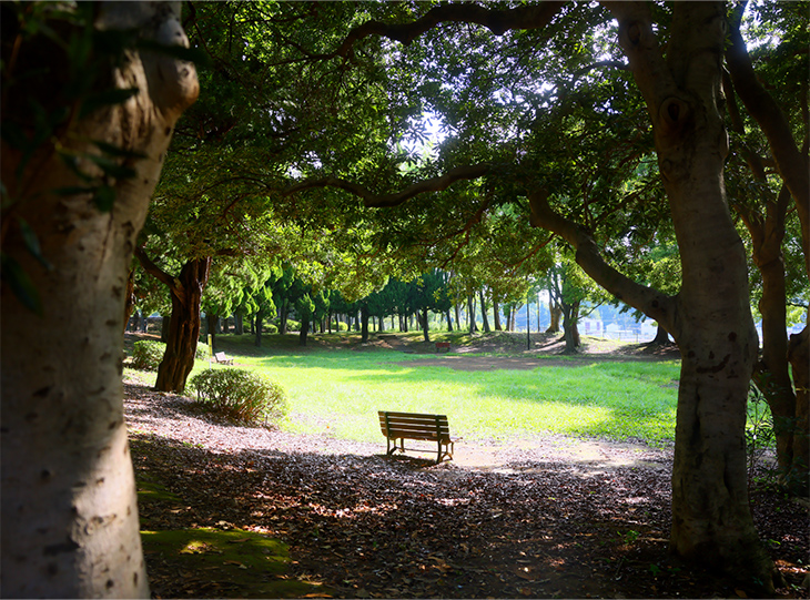 城北中央公園（最遠区画より約1110m／徒歩14分）※2