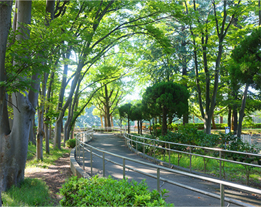 城北中央公園（約1110m／徒歩14分）