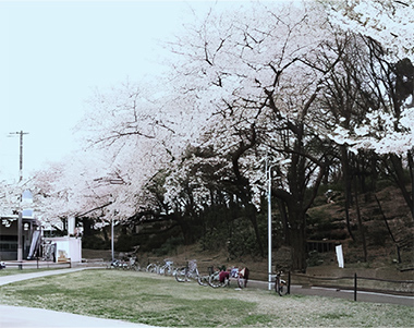 茂呂山公園（約1950m／徒歩25分）