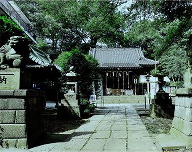 氷川台氷川神社（約1520m／約19分）