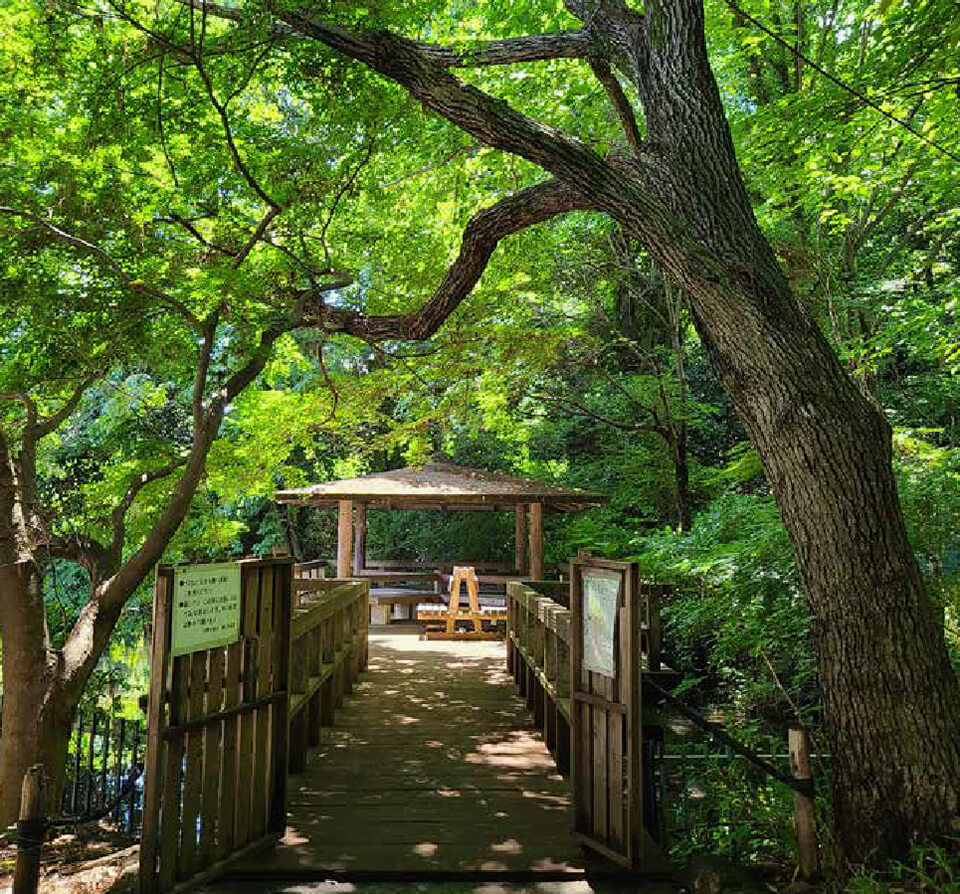 黒川清流公園(徒歩6分~7分/約420m~550m)