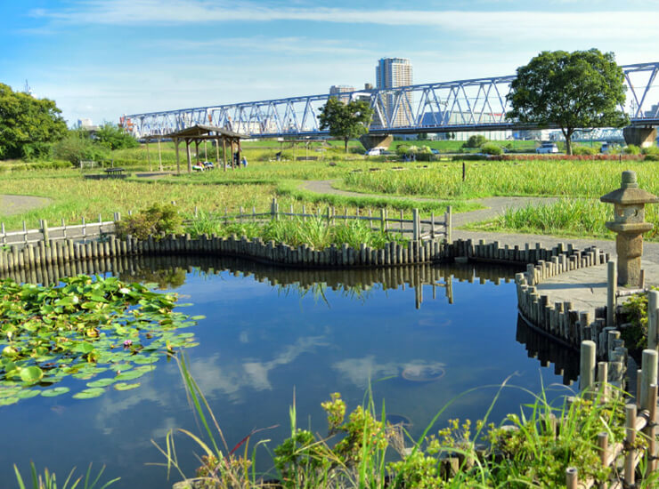 小岩菖蒲園（徒歩24分／約1,900m）