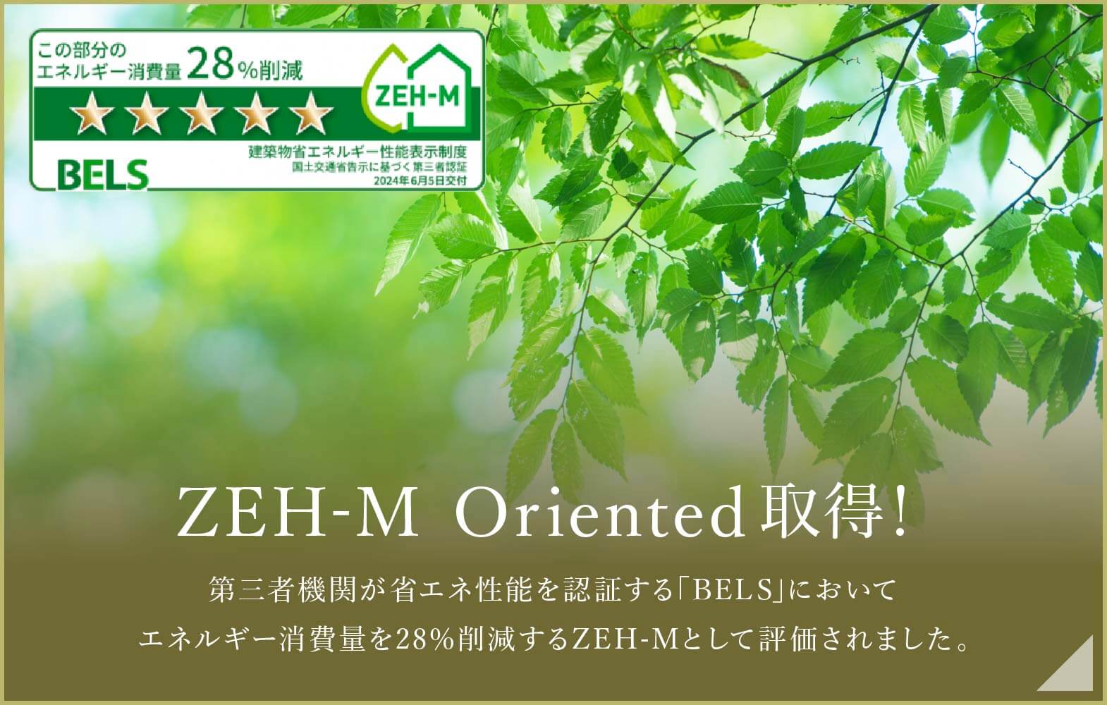 ZEH-M Oriented取得！