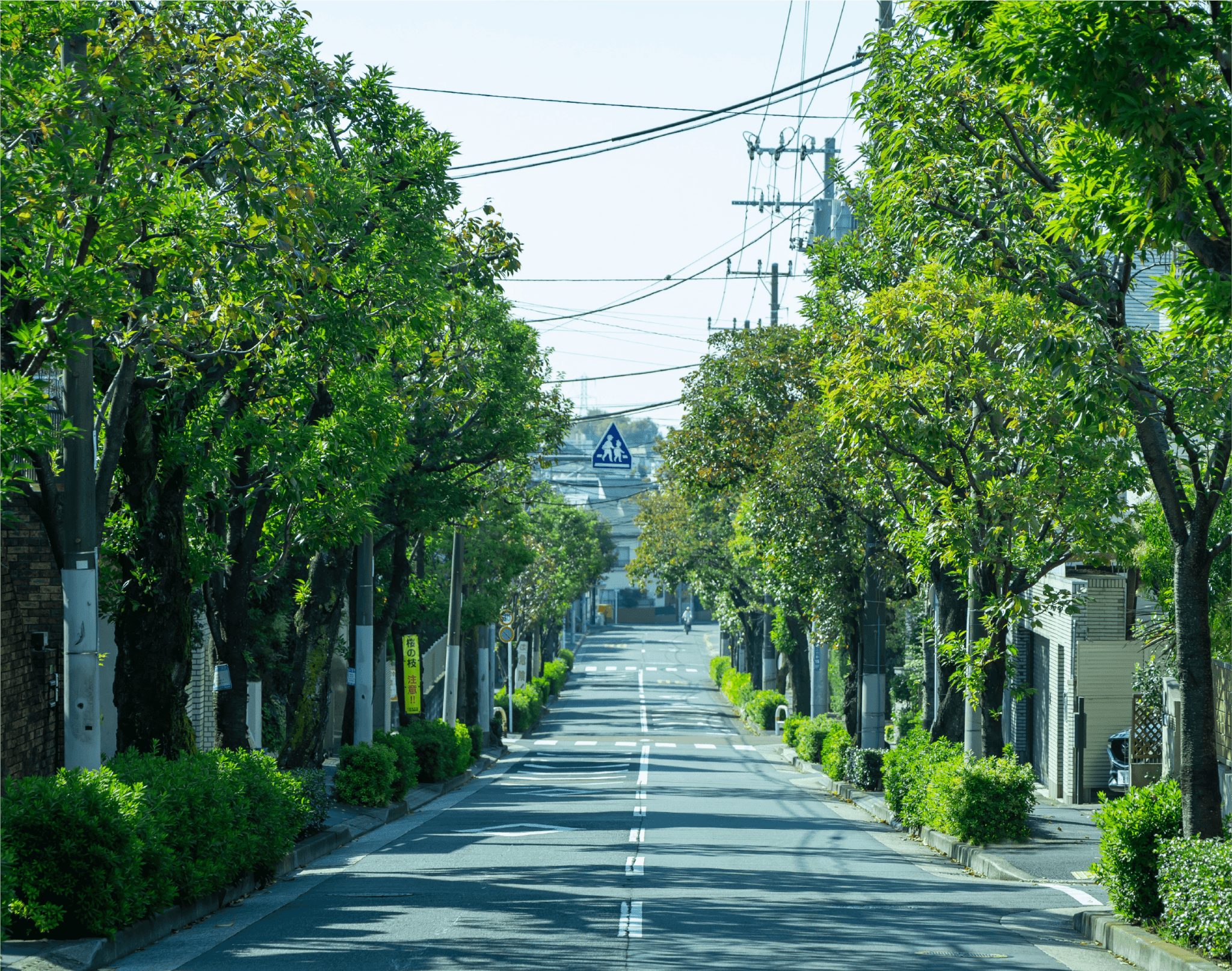 現地周辺の街並み（徒歩3分・約180m）