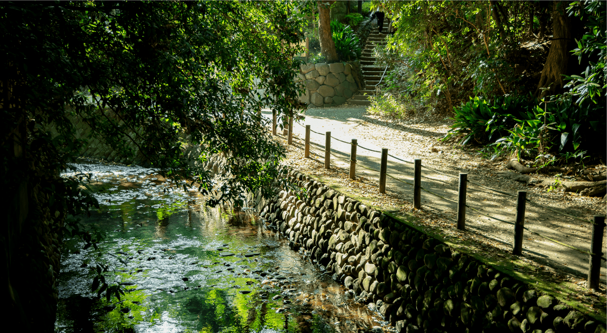 等々力渓谷公園（徒歩10分・約800m）