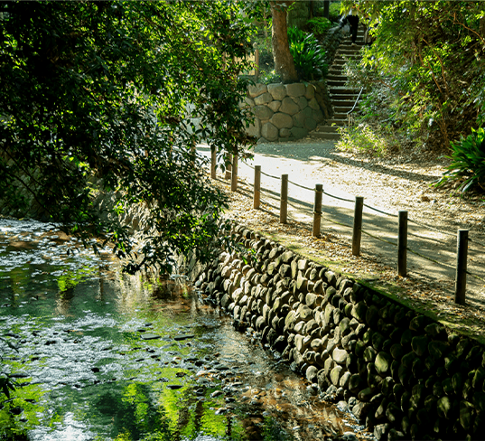 等々力渓谷公園（徒歩10分・約800m）