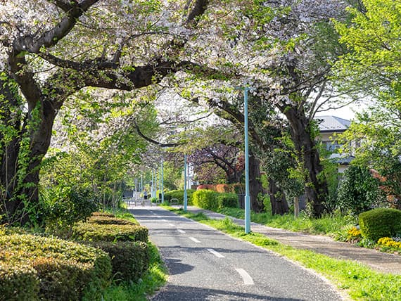 狭山・境緑道