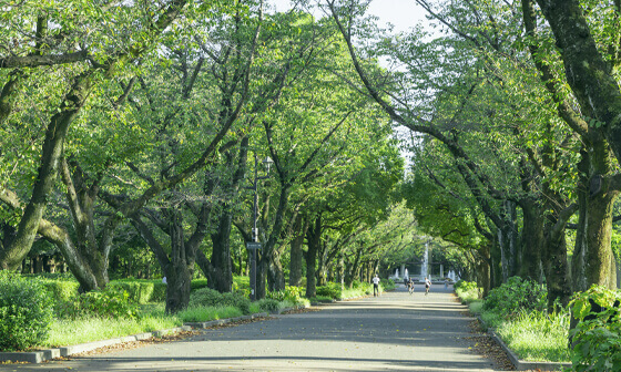 府中の森公園