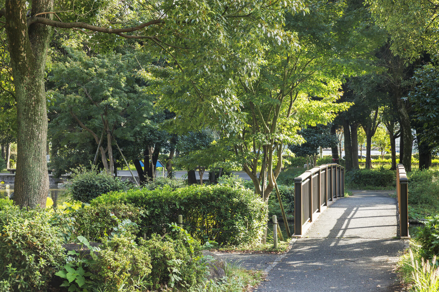 府中市郷土の森公園