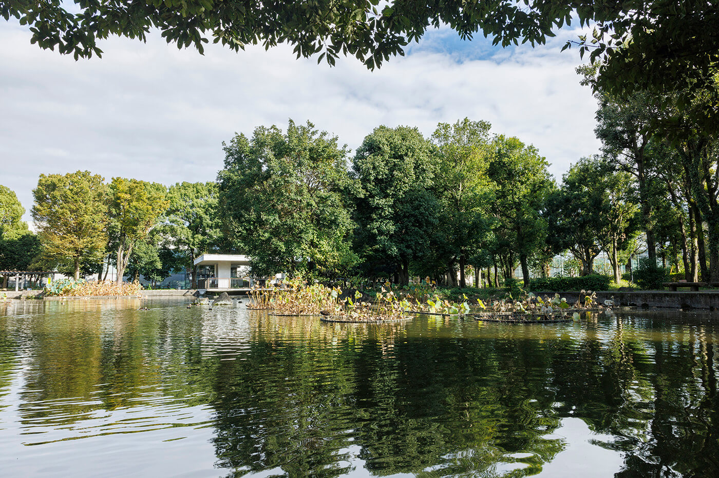 府中市郷土の森公園