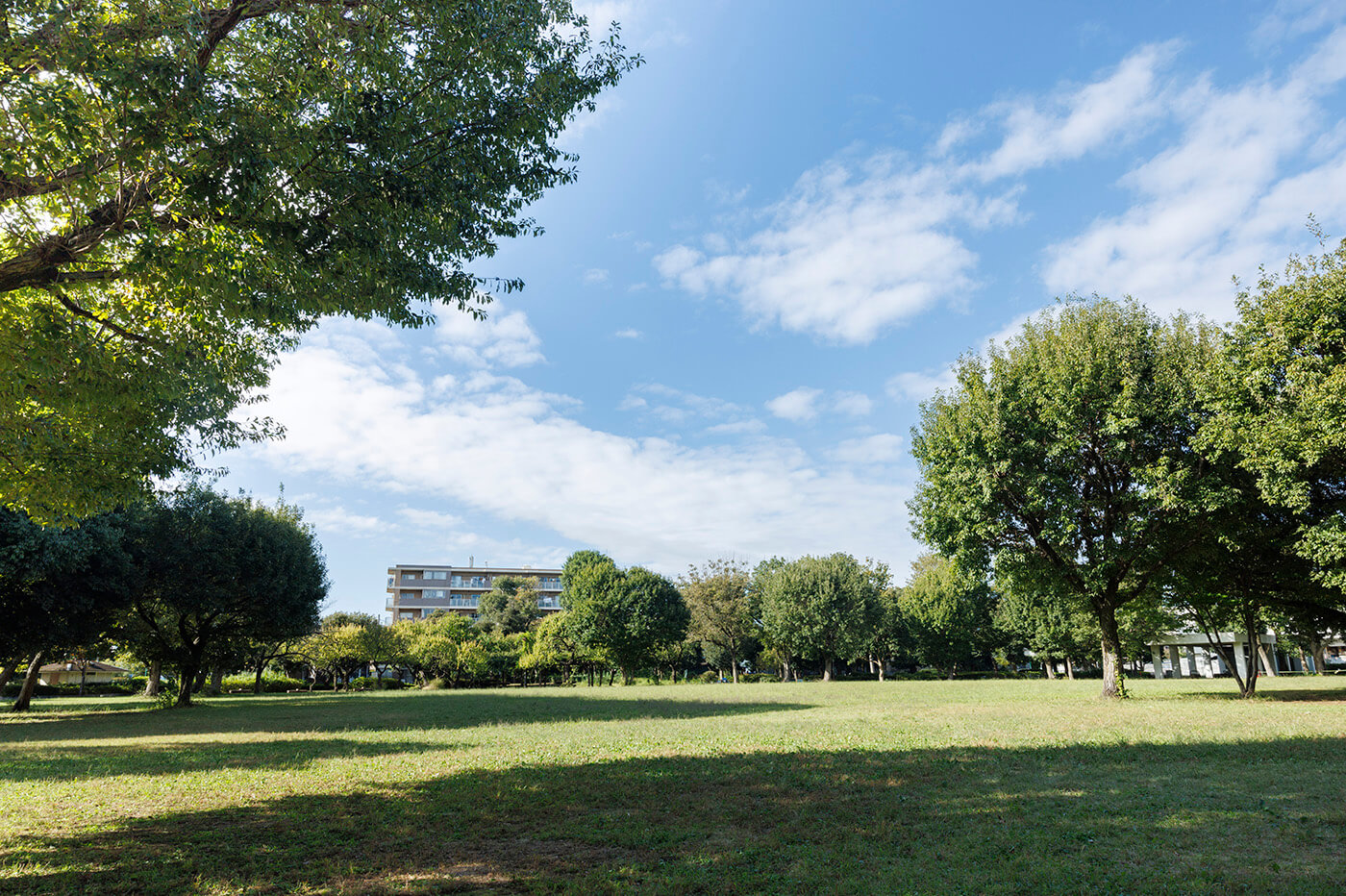 府中市郷土の森公園