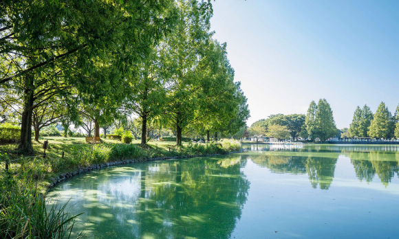 川越公園（川越水上公園）（約4.2km）