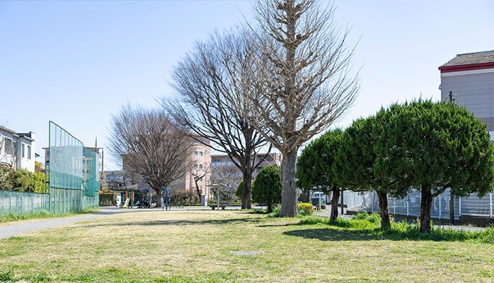 八幡山はらっぱ広場