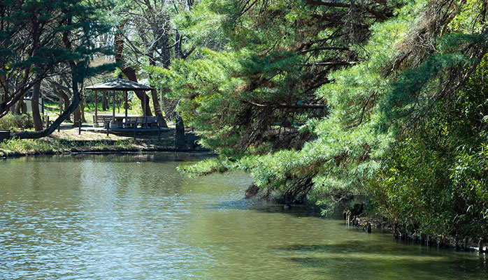 将軍池広場