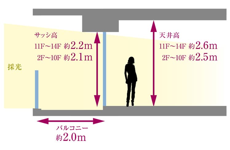 天井高概念図