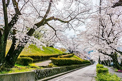 桜ヶ丘１丁目緑地