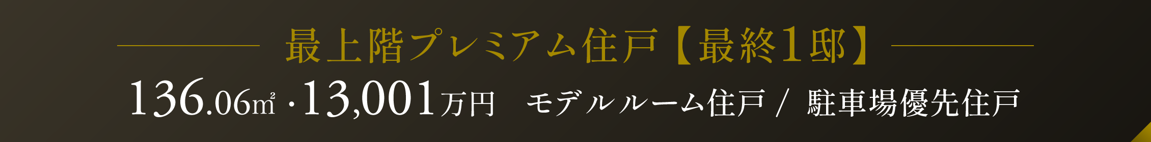 最上階プレミアム住戸 【最終１邸】