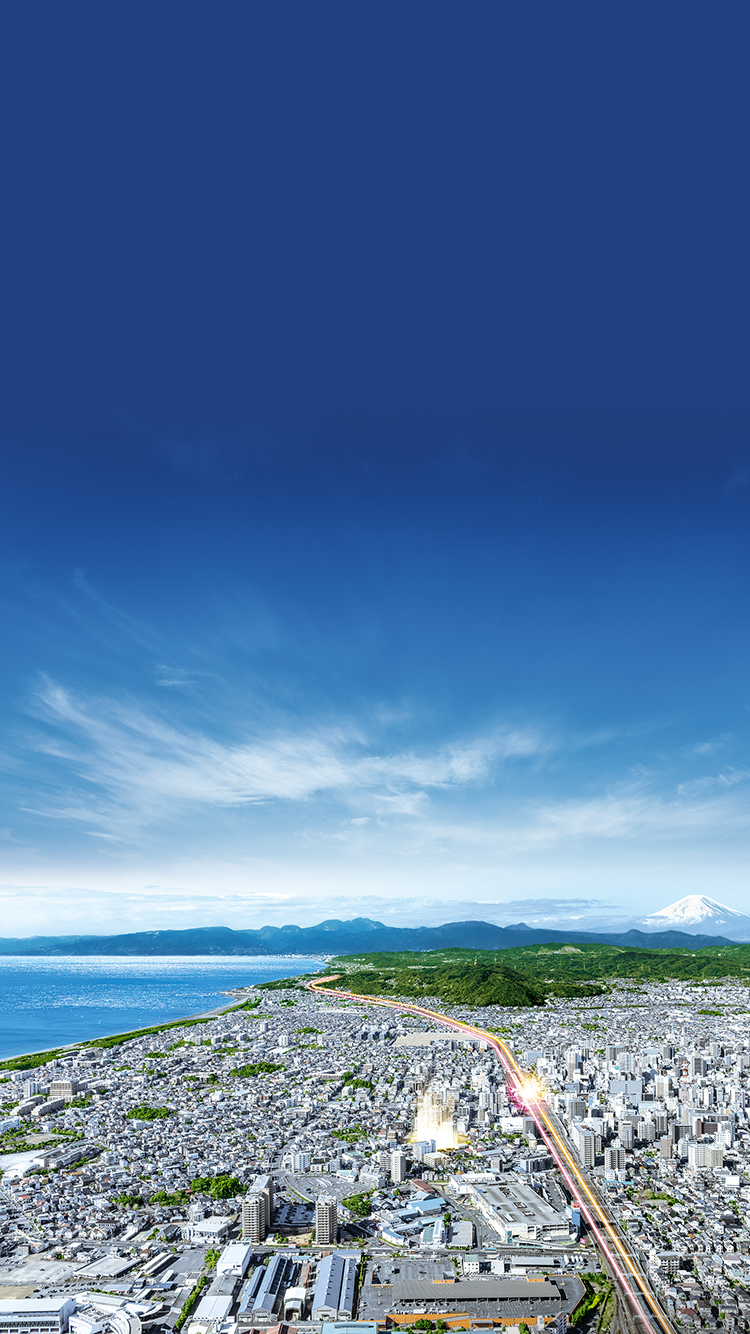 現地周辺航空写真