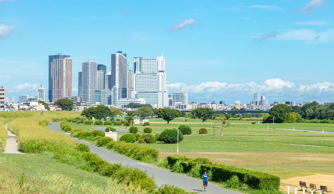 多摩川河川敷の写真