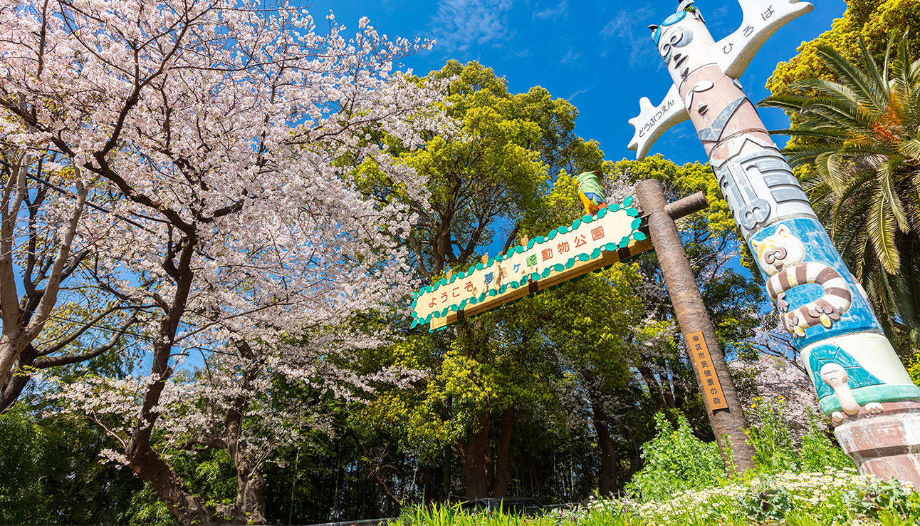 夢見ヶ崎動物公園