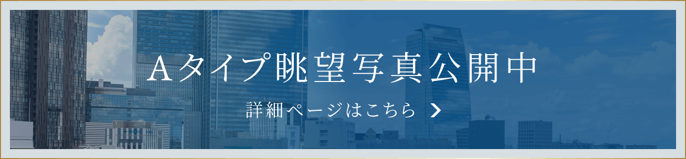 Aタイプ空撮公開中 詳細ページはこちら