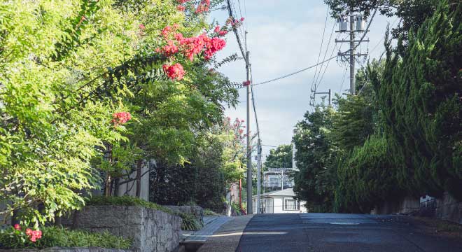 現地周辺の街並み（徒歩10分／約800m）