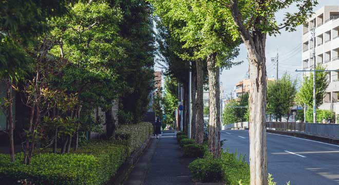 現地周辺の街並み（徒歩5分／約400m）