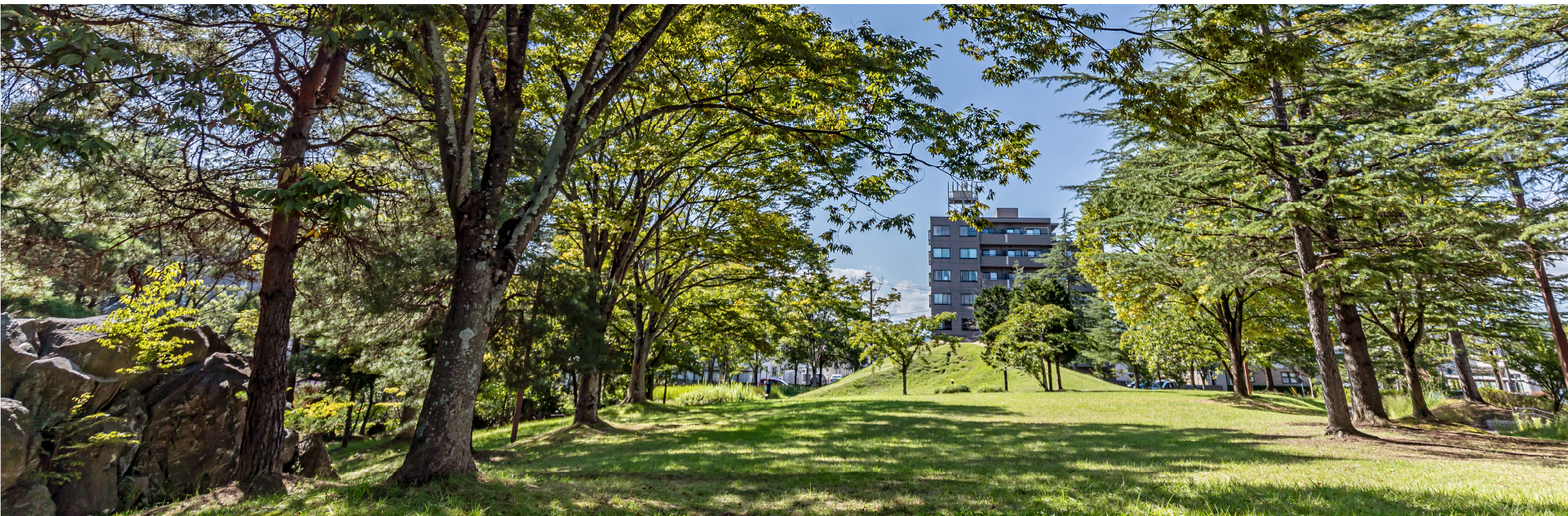 泉中央公園（約130m/徒歩2分）