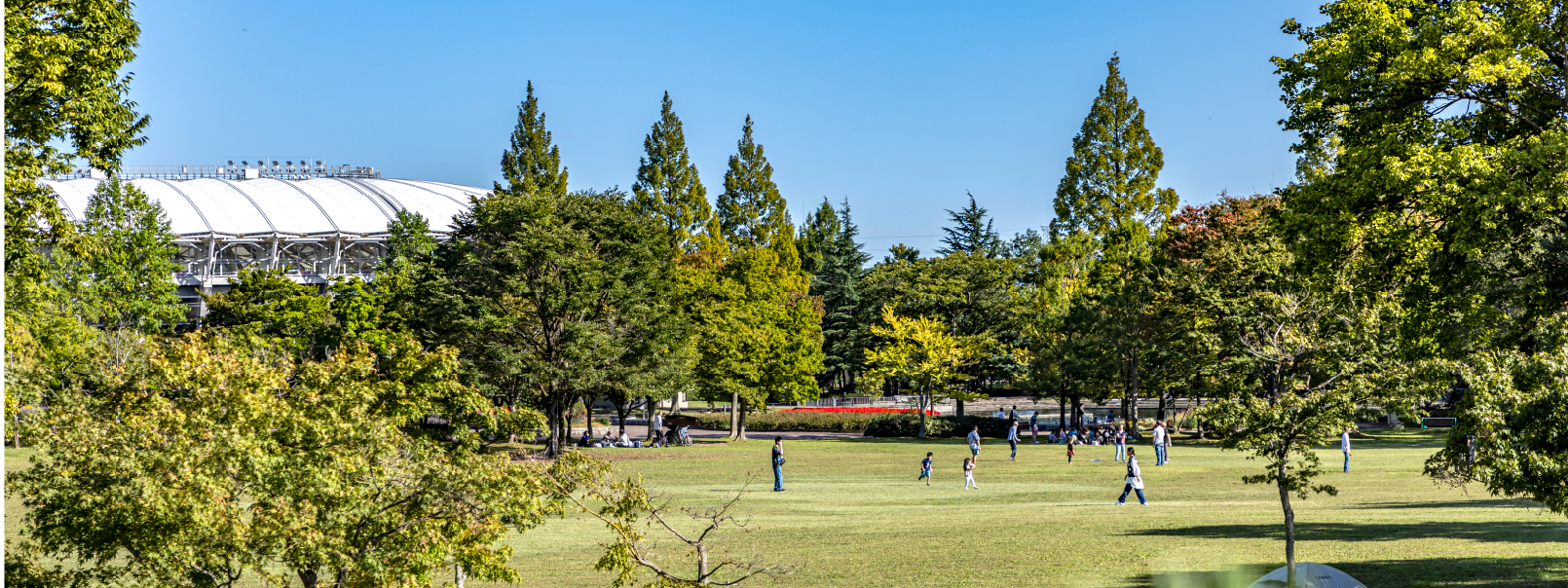 七北田公園（約990m/徒歩13分）