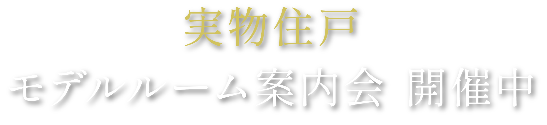 実物住戸モデルルーム案内会 開催中