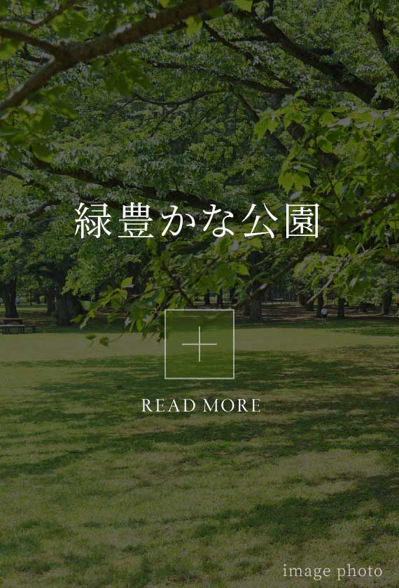 緑豊かな公園