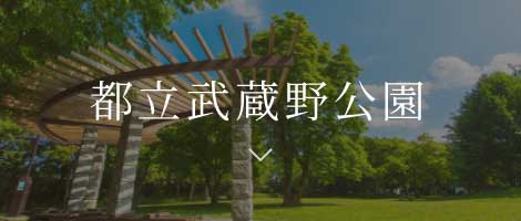 都立武蔵野公園