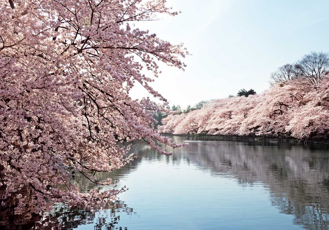 井の頭恩賜公園